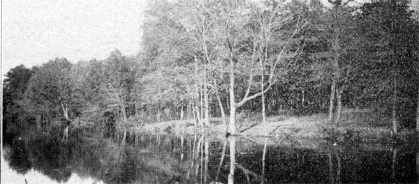 Camden Port