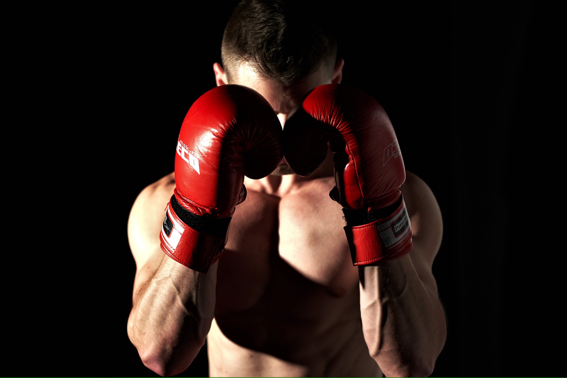 Boxer Stock Photo