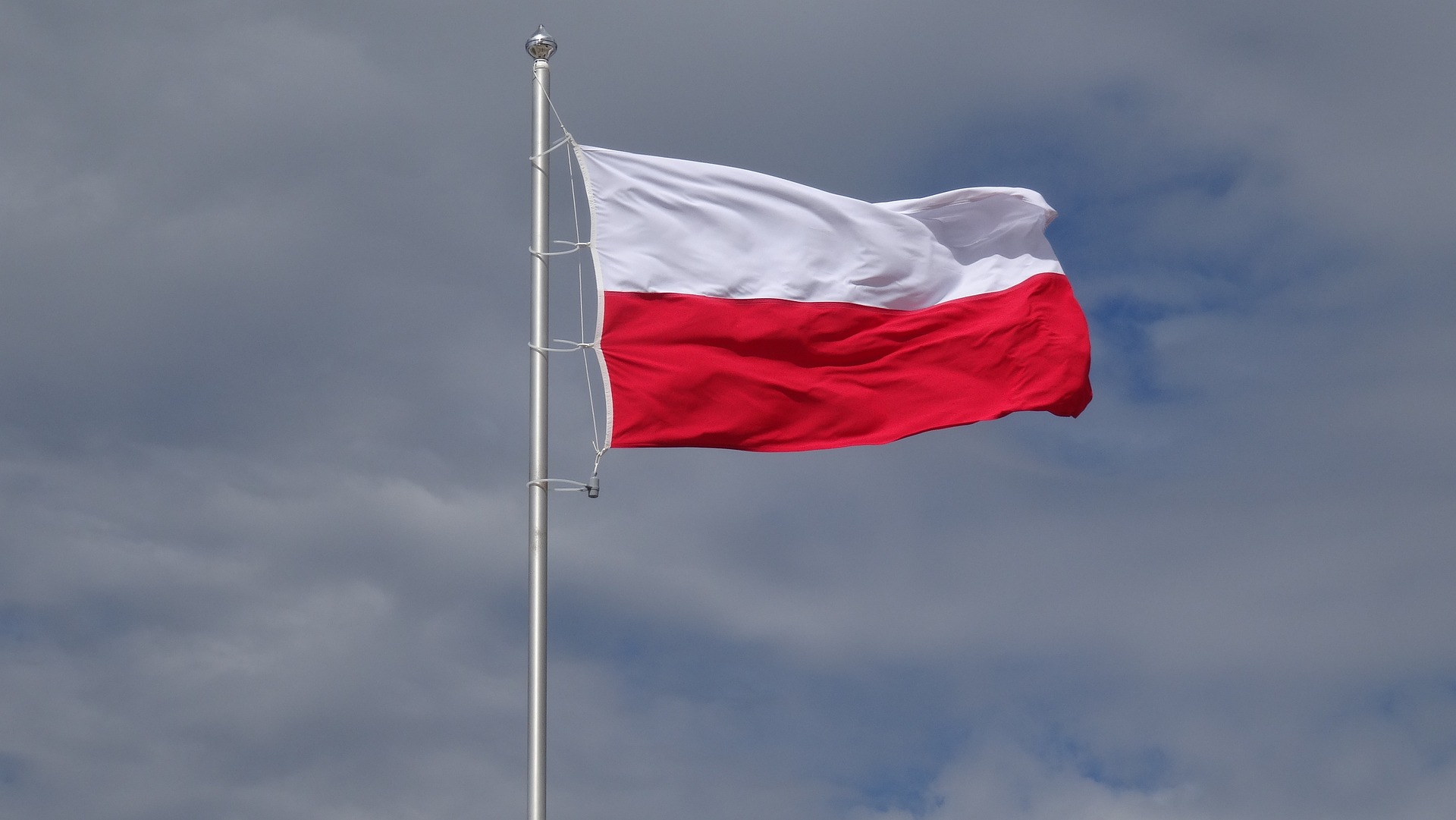 Polish Flag Stock Photo