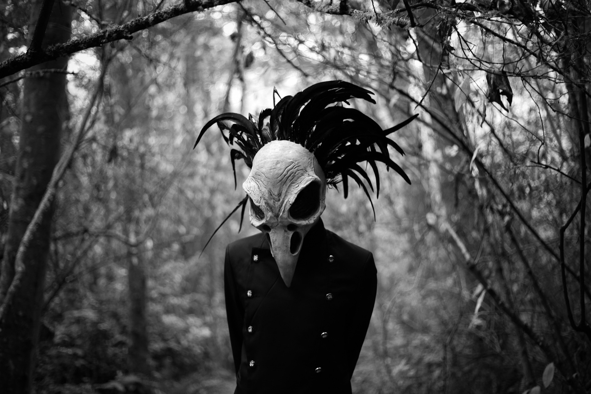 Raven Mask Stock Photo