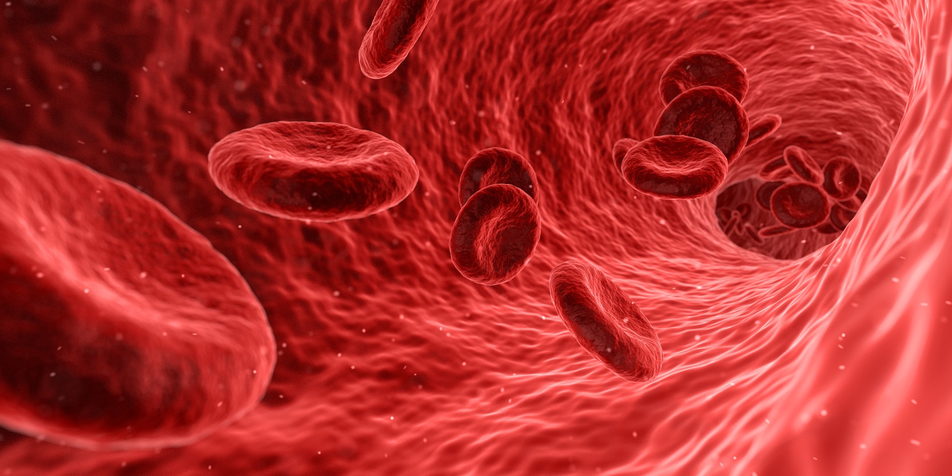 Blood Cells Stock Photo