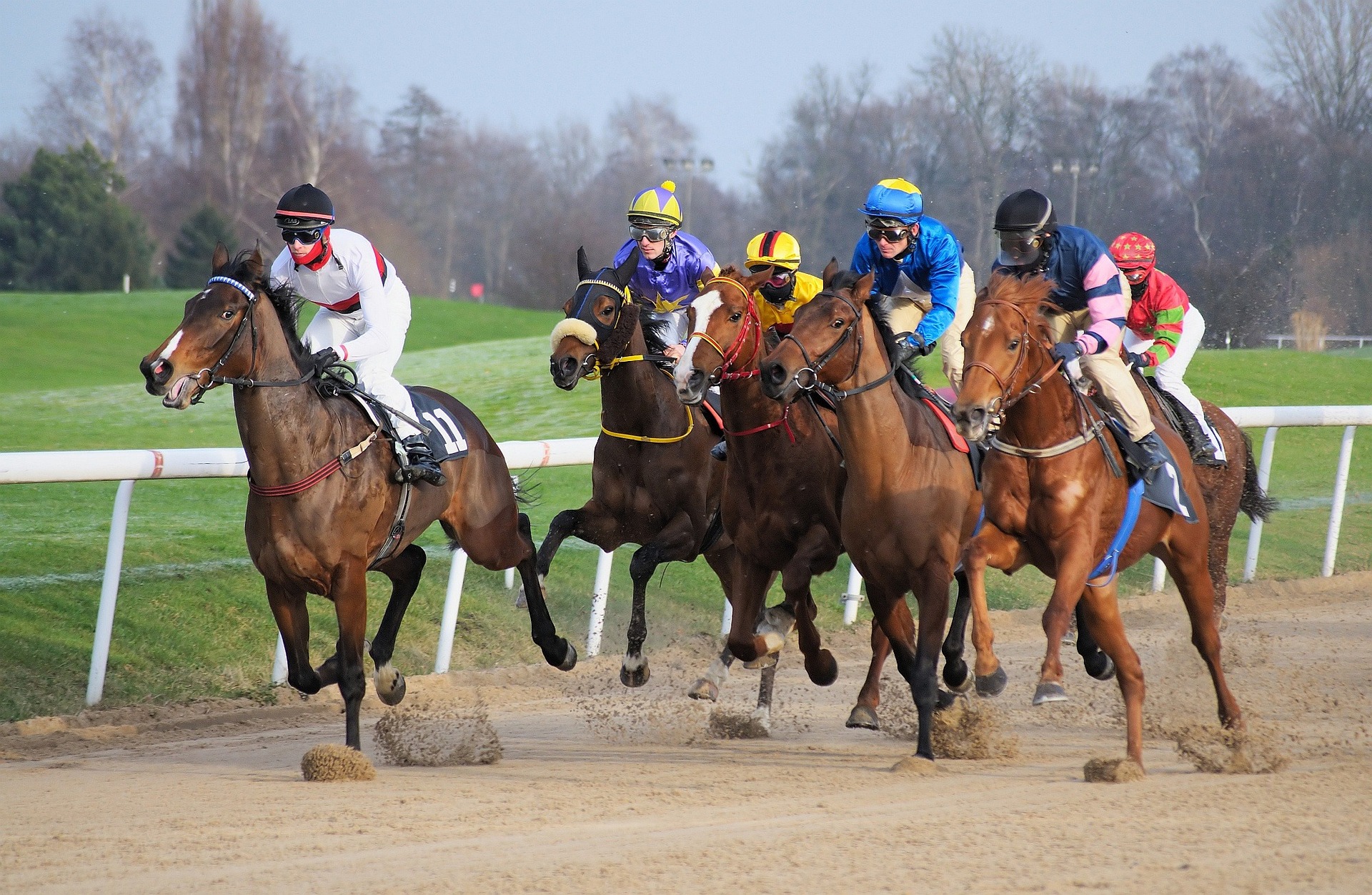 Horse Racing - Stock Photo