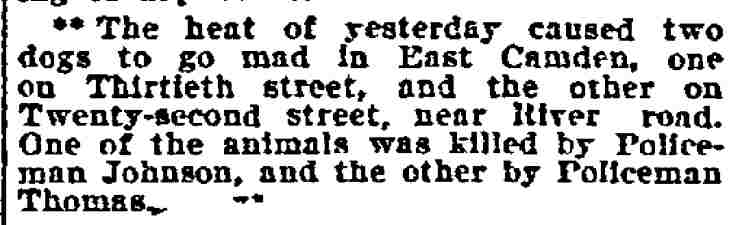 Police Kill Mad Dogs — Philadelphia Inquirer, August 22, 1906