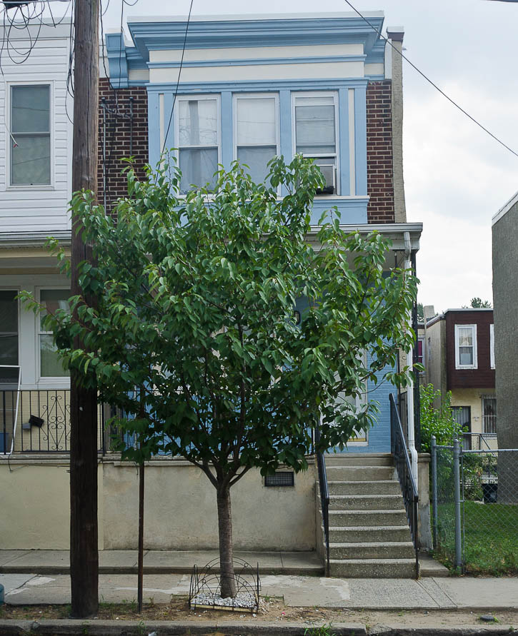 322 Byron Street, July 9, 2012