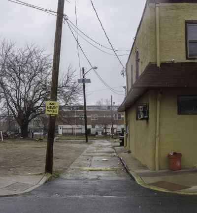 Looking North on Coates Alley from Spruce Street, March 19, 2014