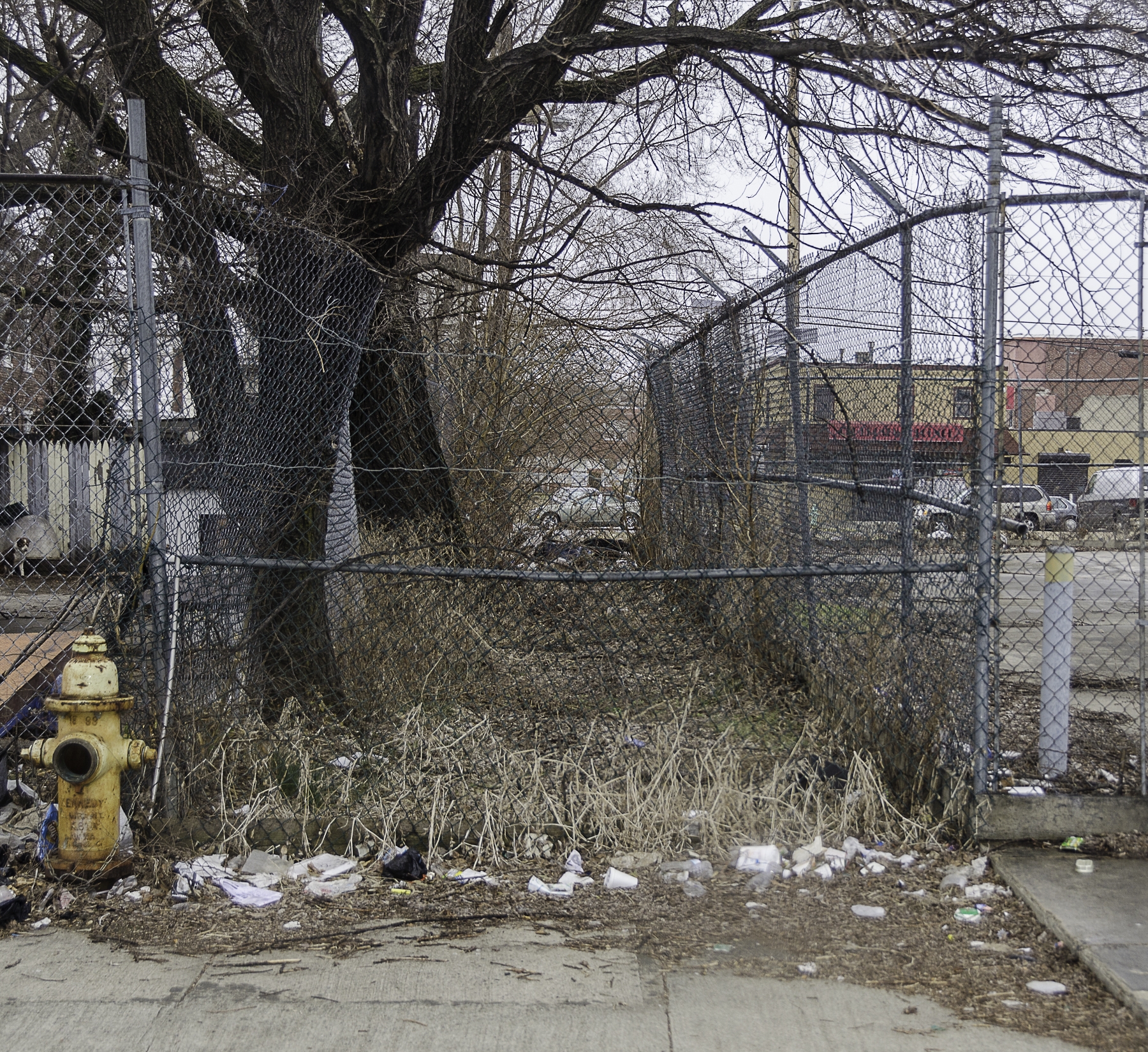 Looking north on Coates Street from Cherry Street, March 19, 2014