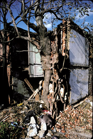 1075 Diamond Street, June 28, 2004