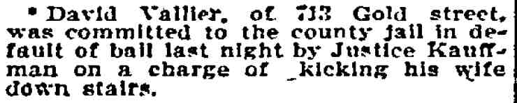 Philadelphia Inquirer news brief, December 22, 1895 — David Vallier of 713 Gold Street jailed