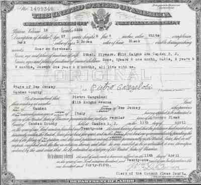 115 Kaighn Avenue, Cangelosi & Nat Papers