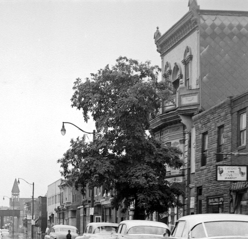 West of 1045 Kaighn Avenue flood, August 11, 1958, Bob Bartosz