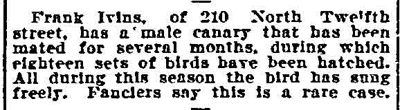 Philadelphia Inquirer clipping, August 5, 1906 — Frank Ivins, Canary Breeder