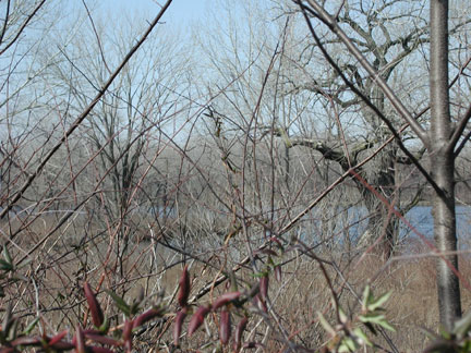 North 27th Street at Buren Avenue (River Road)