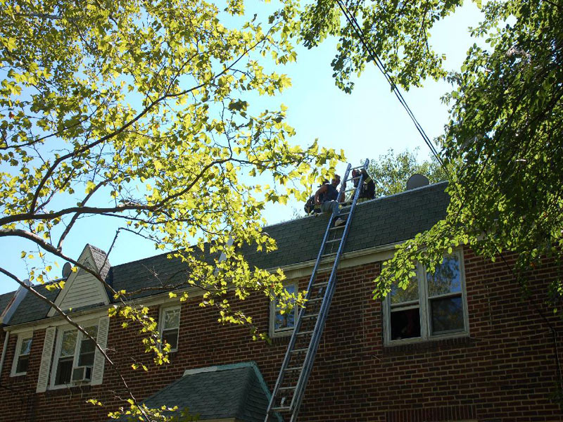 547 Pfeiffer Street fire — Ladder 3 putting up ladder to rescue man on roof