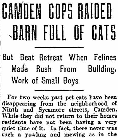 Camden Cops Raided Barn Full of Cats newspaper clipping, page 1
