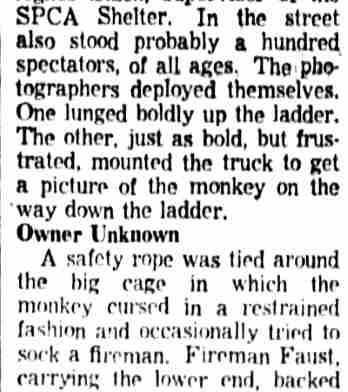 Detail of the Camden Courier-Post page 3 continuation column, August 20, 1954
