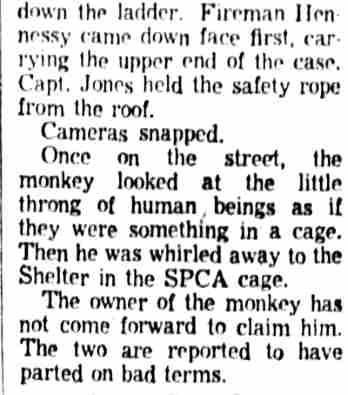 Detail of the Camden Courier-Post page 3 continuation column, August 20, 1954