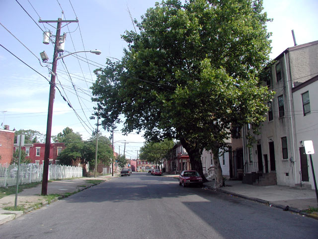 North from 819 South 4th Street
