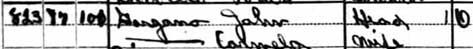 823 South 4th Street — 1920 census