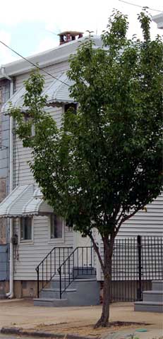 1828 South 4th Street