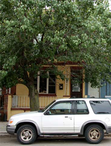 1911 South 4th Street