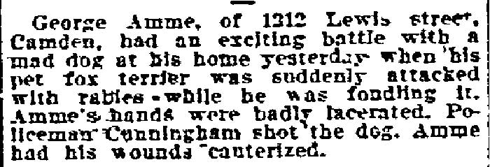 Philadelphia Inquirer clipping, August 29, 1906: George Amme of Louis Street attacked by his rabid terrier.