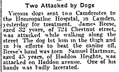 Newspaper clipping headed "Two Attacked by Dogs" from the Philadelphia Inquirer, March 21, 1915